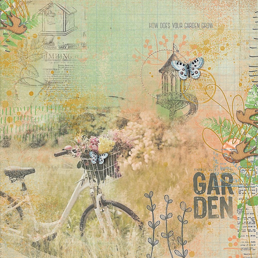 Garden1_AngeB